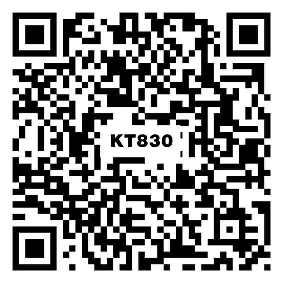 魚肚灰KT830