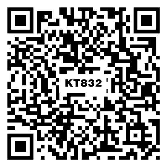 云棕灰KT832