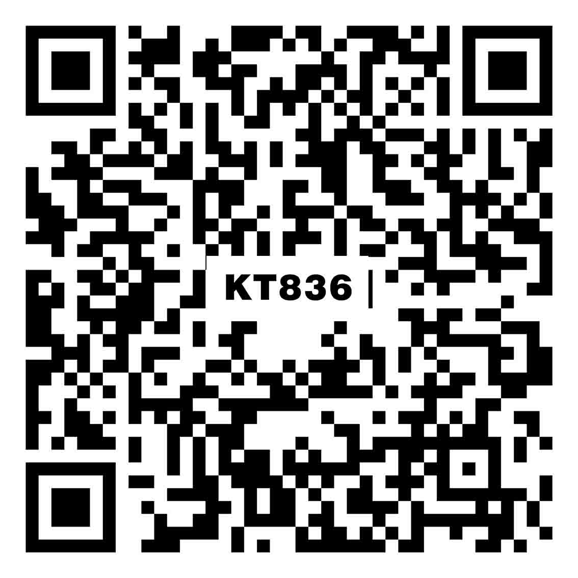 多利亞灰KT836