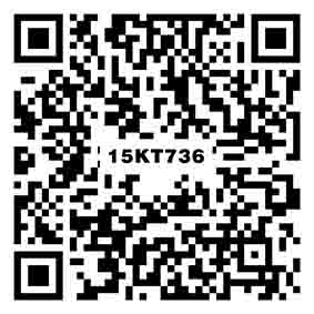 阿斯頓中灰 15KT736