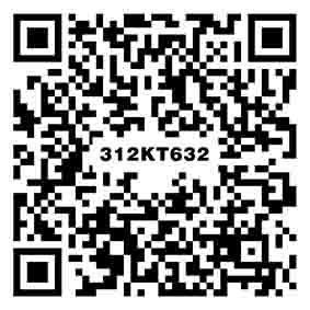 云棕灰 312KT632