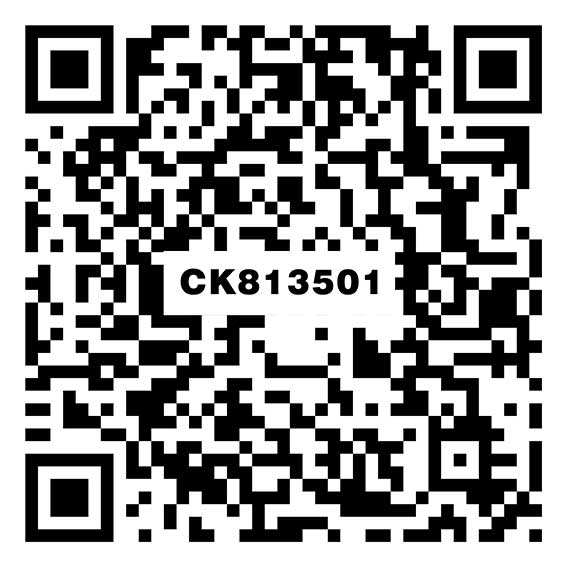 CK813501寒江雪
